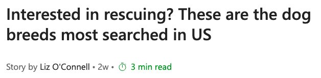 MSN article: interested in rescuing? These are the dog breeds most searched in US